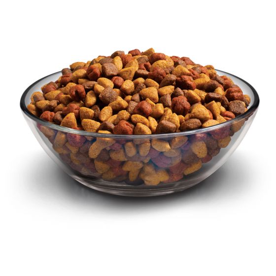 Perrarina Purina 454 gr